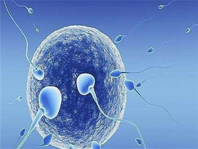 无精症案例